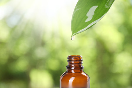 Essential oil dripping from green leaf into bottle on blurred background, closeup. Space for textの写真素材