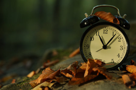 Alarm clock on fallen dry leaves and stones outdoors, closeup. Space for textの写真素材