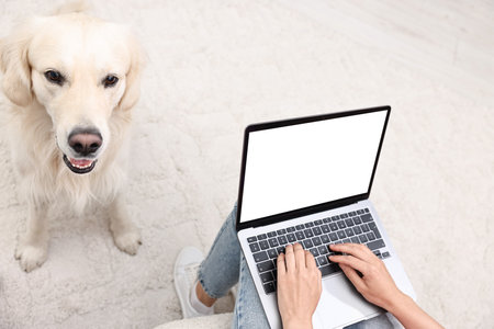 Online pet shop. Woman with laptop making order for cute Golden Retriever dog at home, closeupの写真素材