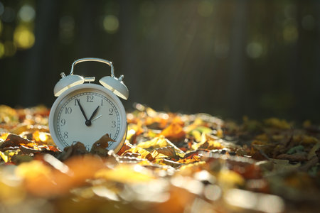 Alarm clock on fallen dry leaves outdoors. Space for textの写真素材
