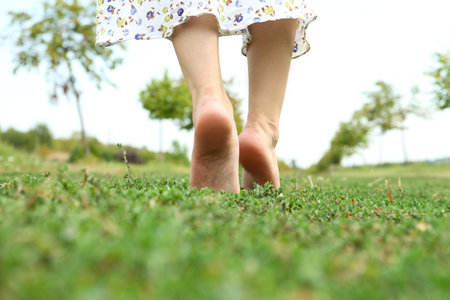 Woman walking barefoot on green grass outdoors, closeupの写真素材