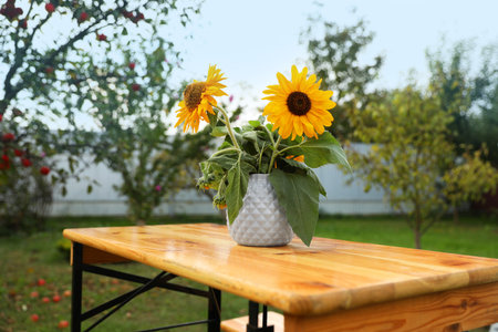 Vase with sunflowers on wooden table in gardenの写真素材