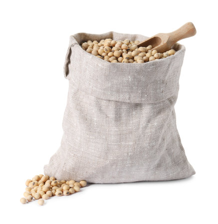 Soy beans in burlap sack and scoop isolated on whiteの写真素材