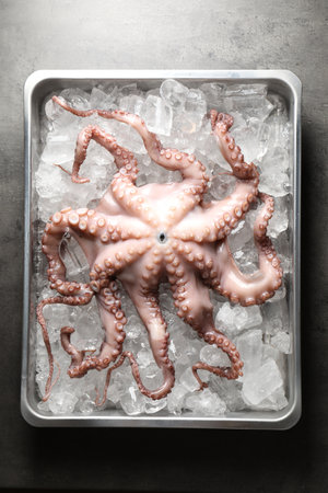 Whole fresh raw octopus and ice cubes in container on gray table, top viewの写真素材