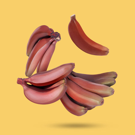 Red baby bananas falling on yellow backgroundの写真素材