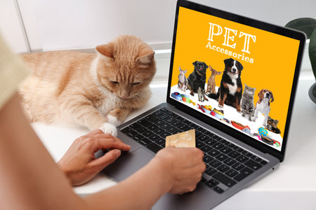 Woman with her cute cat shopping online on laptop at home, closeup. Computer with open pet shop website