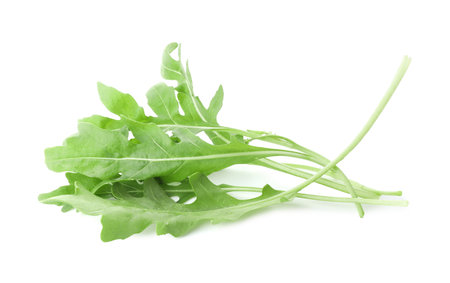 Many fresh arugula leaves on white backgroundの写真素材