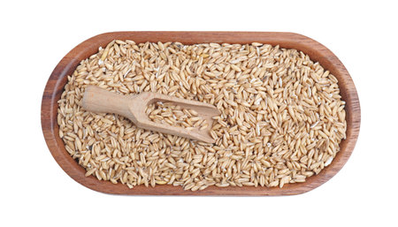 Oat grains and scoop isolated on white, top viewの写真素材