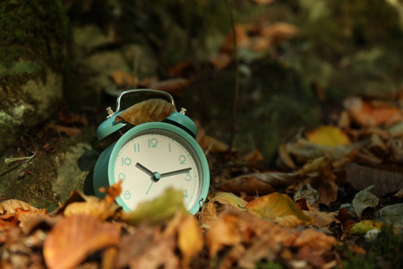 Alarm clock on fallen dry leaves outdoors, closeup. Space for textの写真素材