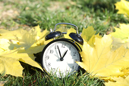 Autumn time. Alarm clock among fallen leaves on green grass, closeup