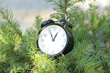 Alarm clock on beautiful green branches, closeup