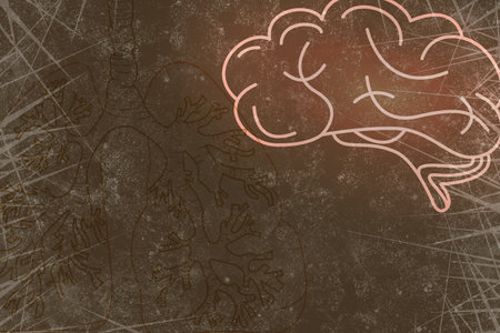 Illustrations of human brain and lungs on brown backgroundの写真素材