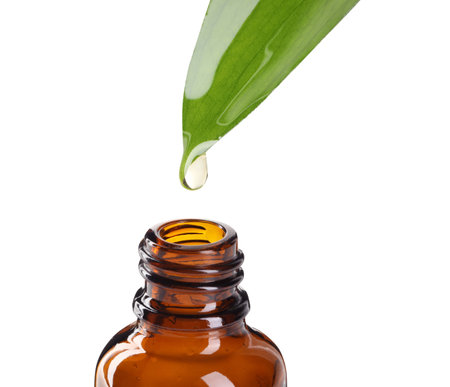 Essential oil dripping from green leaf into bottle on white backgroundの写真素材