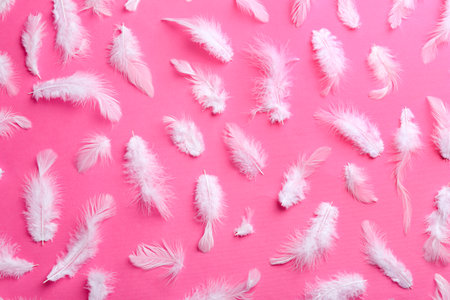 Many fluffy feathers on pink background, flat layの写真素材