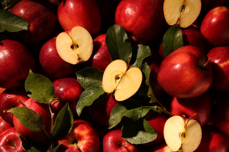 Fresh ripe red apples and green leaves as background, top view