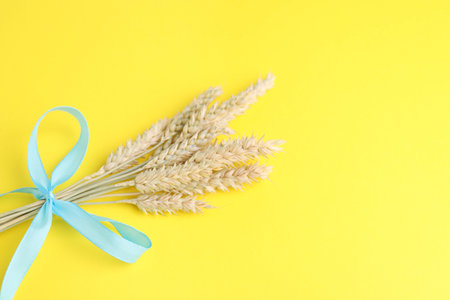 Ears of wheat with light blue ribbon on yellow background, closeup. Space for textの写真素材