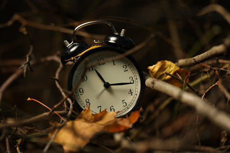 Alarm clock on dry branches outdoors, closeupの写真素材