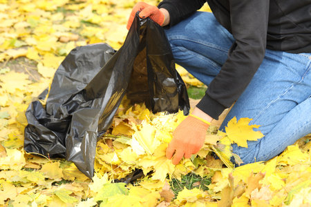 Man gathering fallen leaves into plastic bag outdoors, closeupの写真素材
