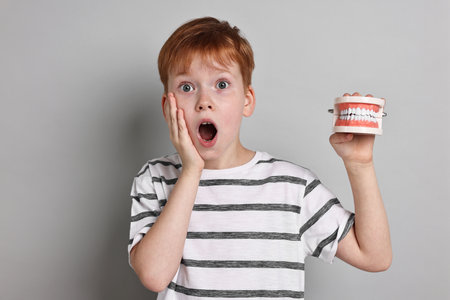 Dental phobia. Scared boy with model of jaw on gray background