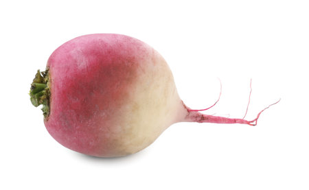 One fresh ripe turnip isolated on whiteの写真素材