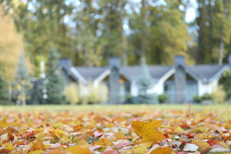 Hotel buildings and fallen leaves in autumnal park, selective focusの写真素材