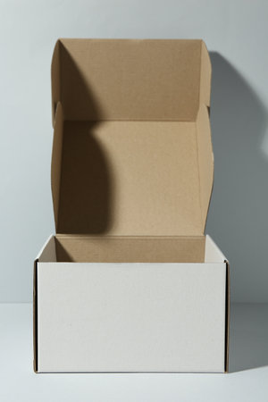 One open cardboard box on white background. Mockup for design