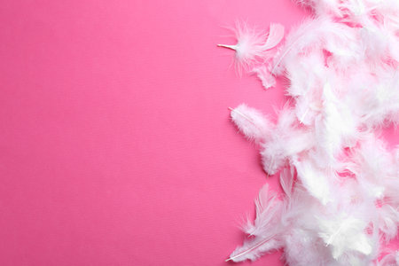 Many fluffy feathers on pink background, flat lay. Space for textの写真素材