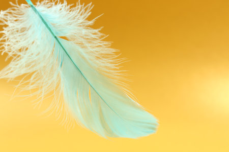 Fluffy light turquoise feather on yellow background, closeup. Space for textの写真素材