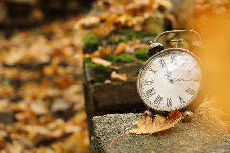 Autumn time. Alarm clock in forest, space for textの写真素材