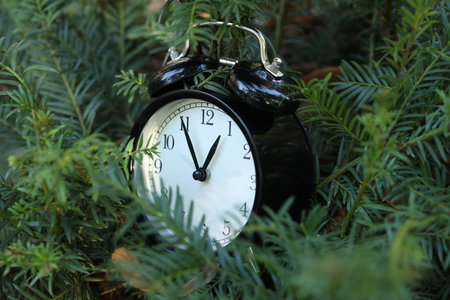 Alarm clock on beautiful green branches, closeup