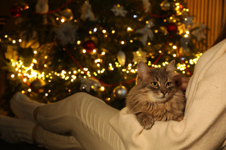 Woman relaxing with cat near Christmas tree, closeupの写真素材