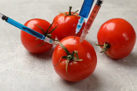 GMO concept. Tomato with different syringes on gray textured table, closeupの写真素材