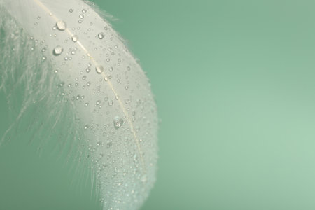 Fluffy white feather with water drops on light turquoise background, closeup. Space for textの写真素材