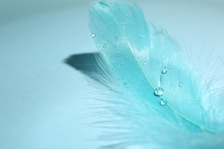 One fluffy feather on light blue background, closeup. Space for textの写真素材