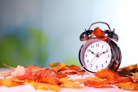 Alarm clock and dry leaves on white table against blurred background, closeup. Space for textの写真素材