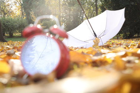 Alarm clock and white umbrella on dry leaves outdoors, selective focus. Space for text