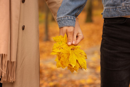 Couple holding dry leaves in autumn park, closeupの写真素材