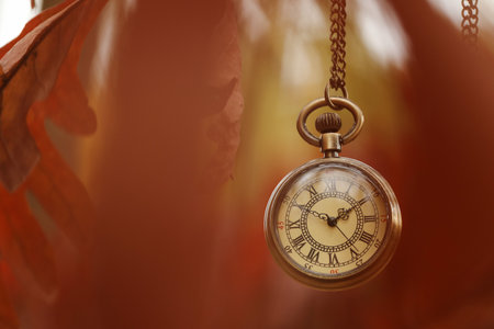 Autumn time. Chain watch hanging on tree in park, selective focus. Space for text