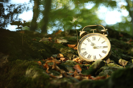 Alarm clock on fallen dry leaves outdoors, closeup. Space for textの写真素材