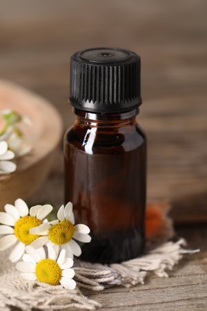 Bottle of essential oil and chamomile flowers on wooden table, closeupの写真素材