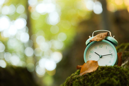Alarm clock on green moss outdoors, closeup. Space for textの写真素材