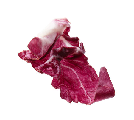 Piece of radicchio leaf isolated on whiteの写真素材
