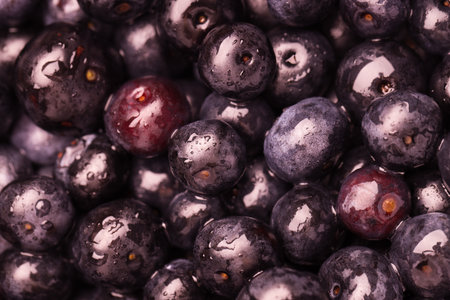 Wet acai berries as background, top viewの写真素材