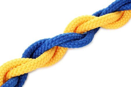 Colorful ropes tied together isolated on white. Unity concept