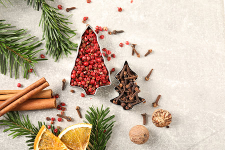 Different spices, dried orange slices and fir tree branches on light gray table, flat lay with space for text. Christmas seasonの写真素材