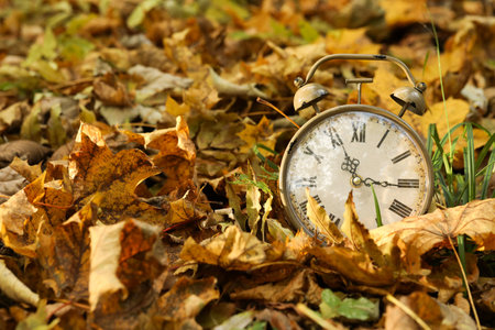 Autumn time. Vintage clock on fallen leaves in park, closeup with space for text