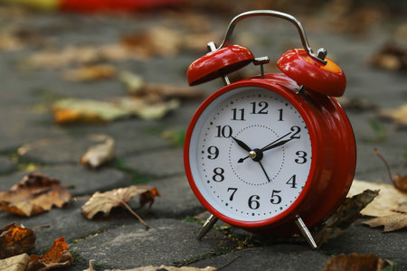 Autumn time. Alarm clock and fallen leaves on pathway in park, closeup with space for text