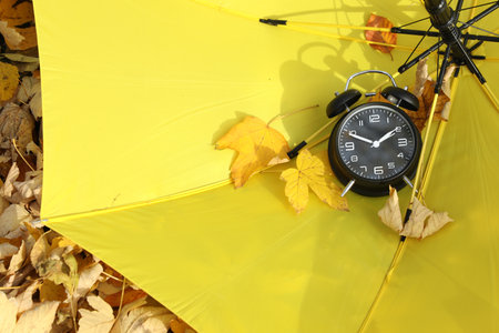 Alarm clock and dry leaves on yellow umbrella outdoors, above view. Space for textの写真素材