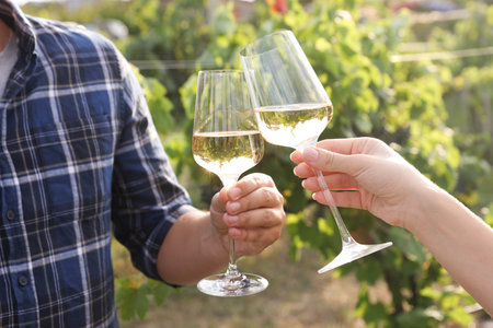 Couple clinking glasses of wine outdoors, closeupの写真素材