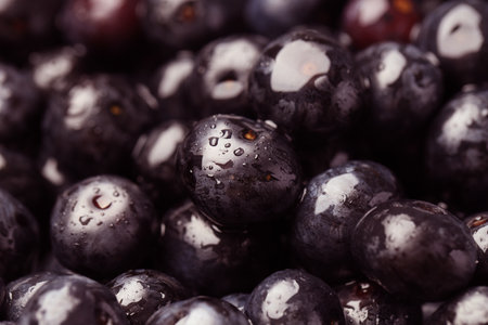 Wet acai berries as background, closeup view